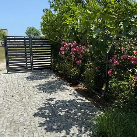 винсент - Vincent Villa *