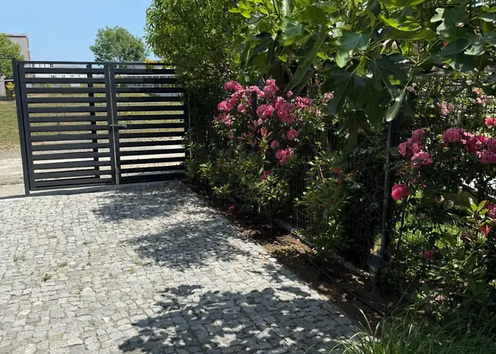 винсент - Vincent Villa *